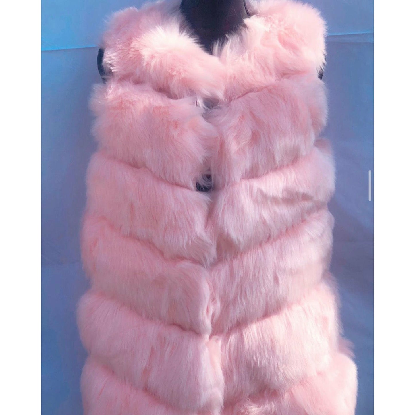 Fur Vest